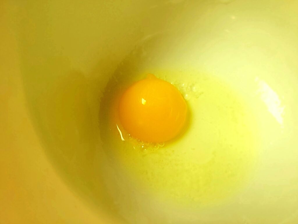 egg