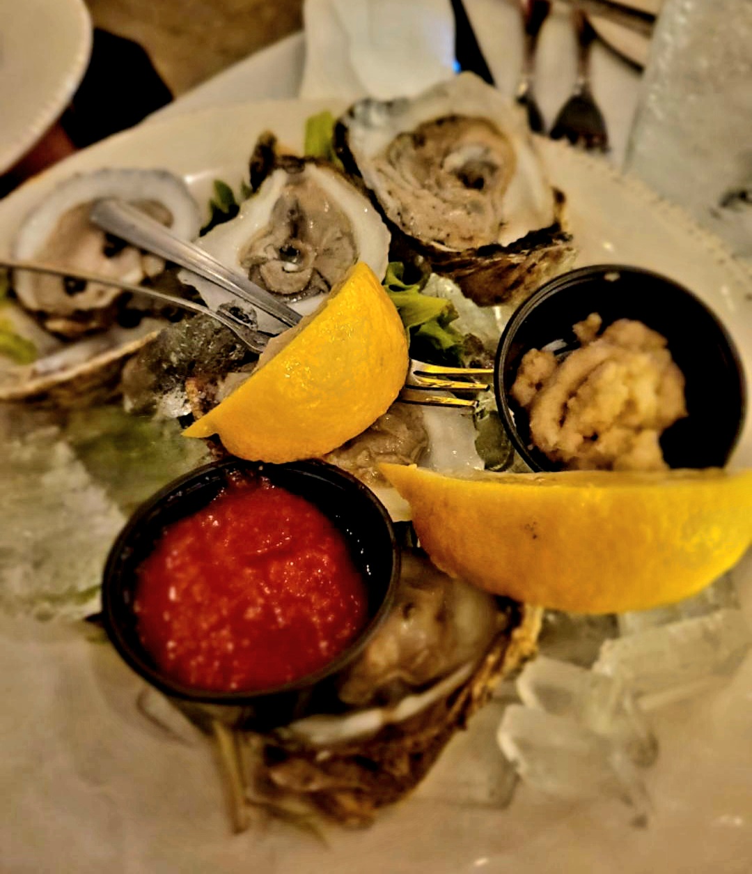 Oysters